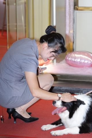 珠宝店肉丝眼睛少妇